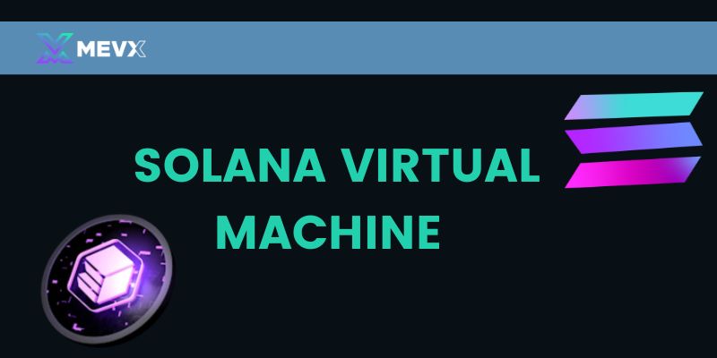 What is solana virtual machine