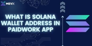 What is solana wallet address in paidwork app