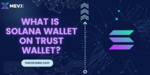 What is Solana wallet on Trust wallet?