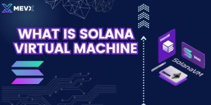 blog mevx io solana virtual machine