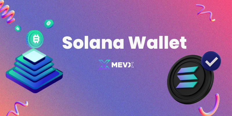 What is solana wallet address in paidwork app