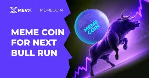 What is a Meme Coin Bull Run?