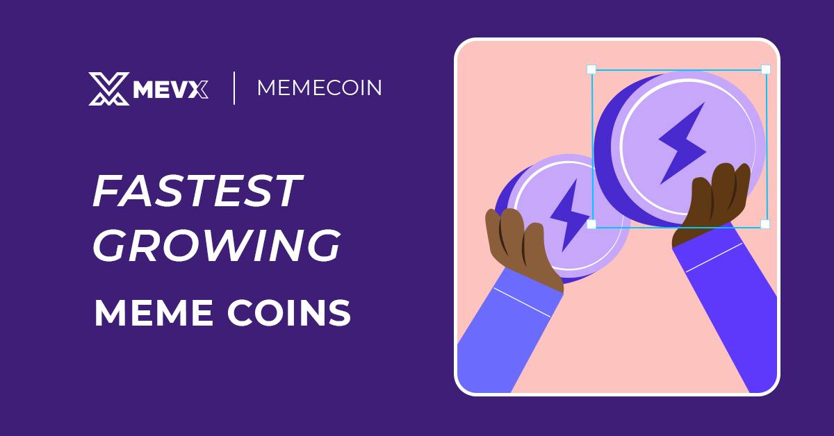 Fastest Growing Meme Coin