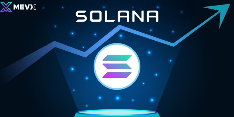 Solana ecosystem meme coins