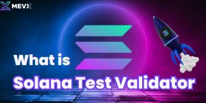 What is Solana Test Validator