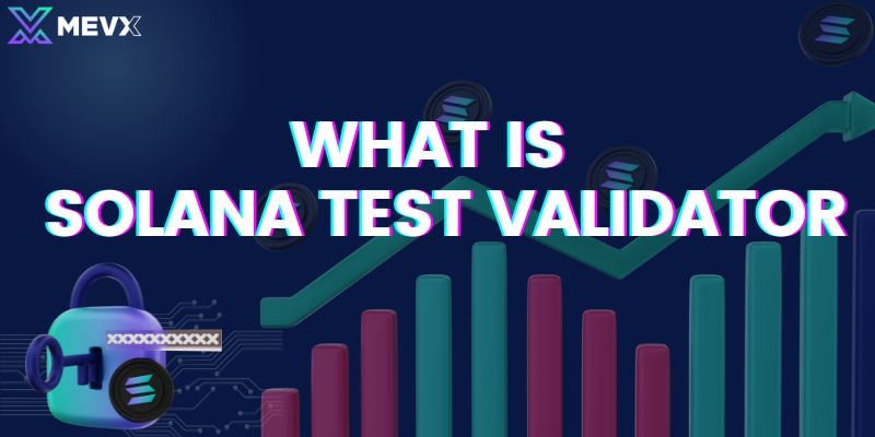 What is Solana Test Validator