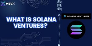 what is solana ventureds