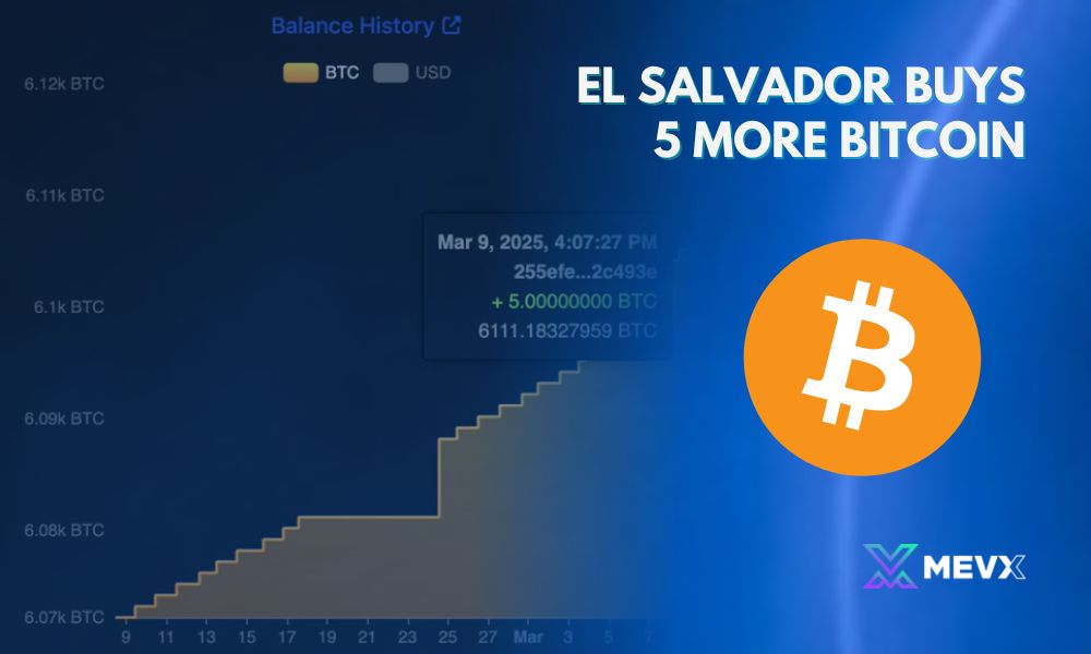 El Salvador buys 5 more bitcoin 