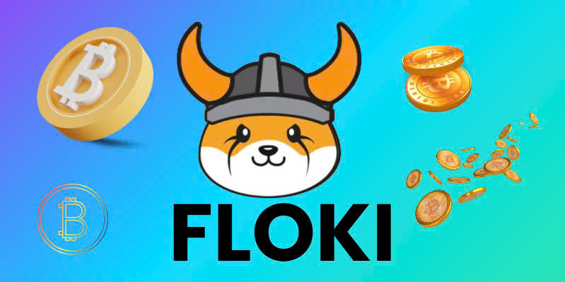 Floki memecoin on BNB Chain 