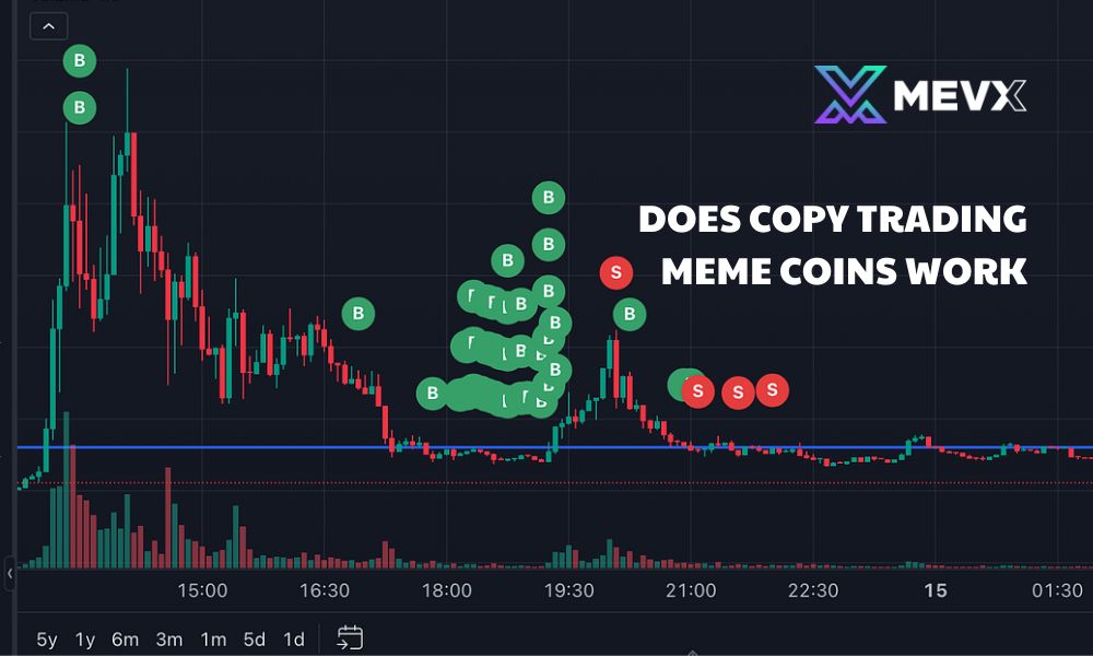 Does copy trading meme coins work