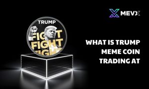 What does trading meme coins mean