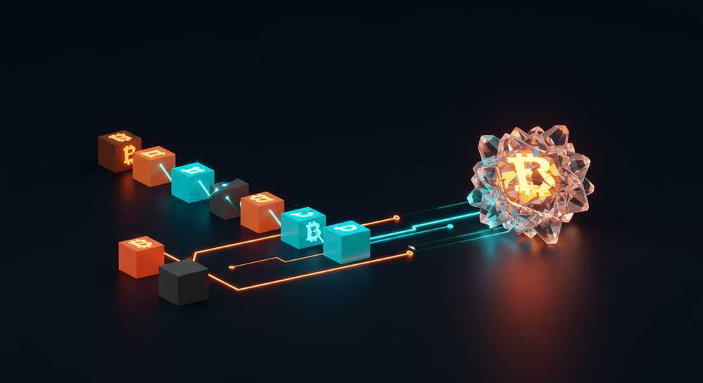 Historical analysis of past halving events